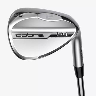 COBRA SNAKEBITE